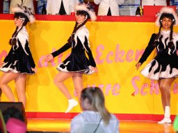 61701564_2360685663992696_5154614487877156864_o_2360685623992700