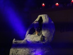 IMG_0571